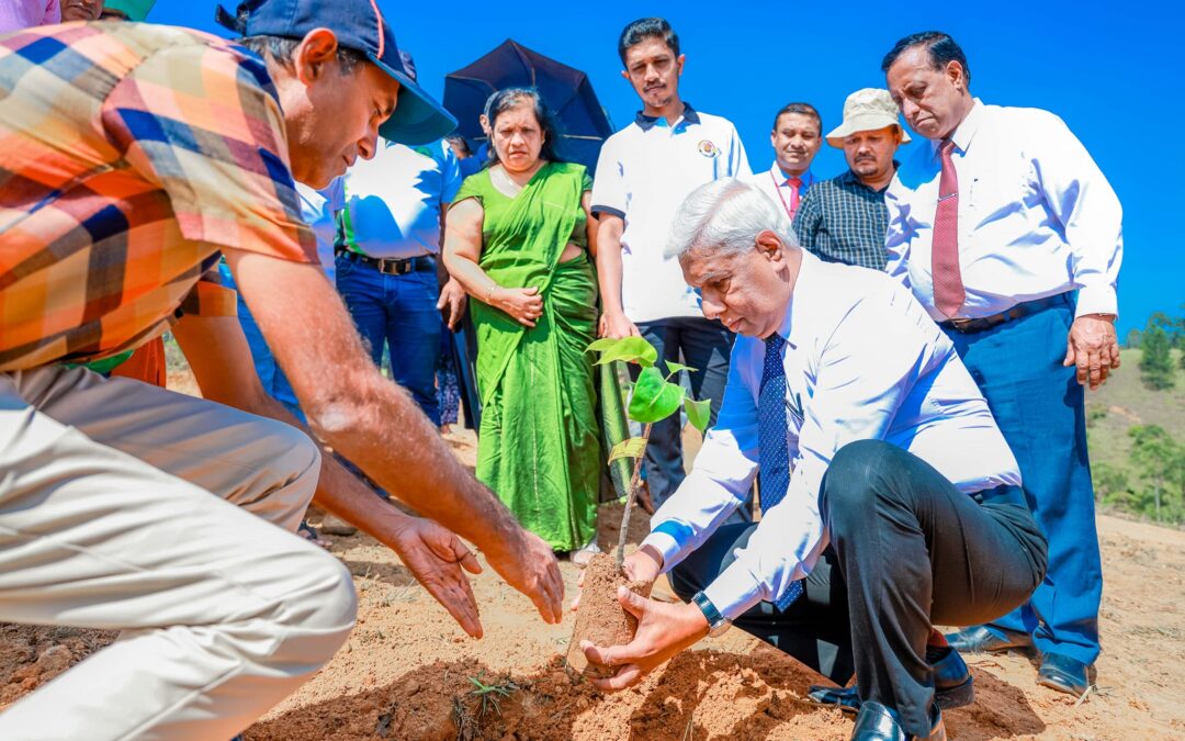 බොරලන්ද සත්ව ගොව්පොලෙහී නීරික්ෂණ චාරිකාව