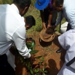 රැක් රෝපණ වැඩසටහනේ අවස්ථා