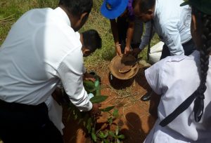 රැක් රෝපණ වැඩසටහනේ අවස්ථා