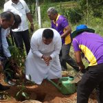 රැක් රෝපණ වැඩසටහනේ අවස්ථා