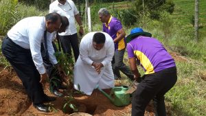 රැක් රෝපණ වැඩසටහනේ අවස්ථා